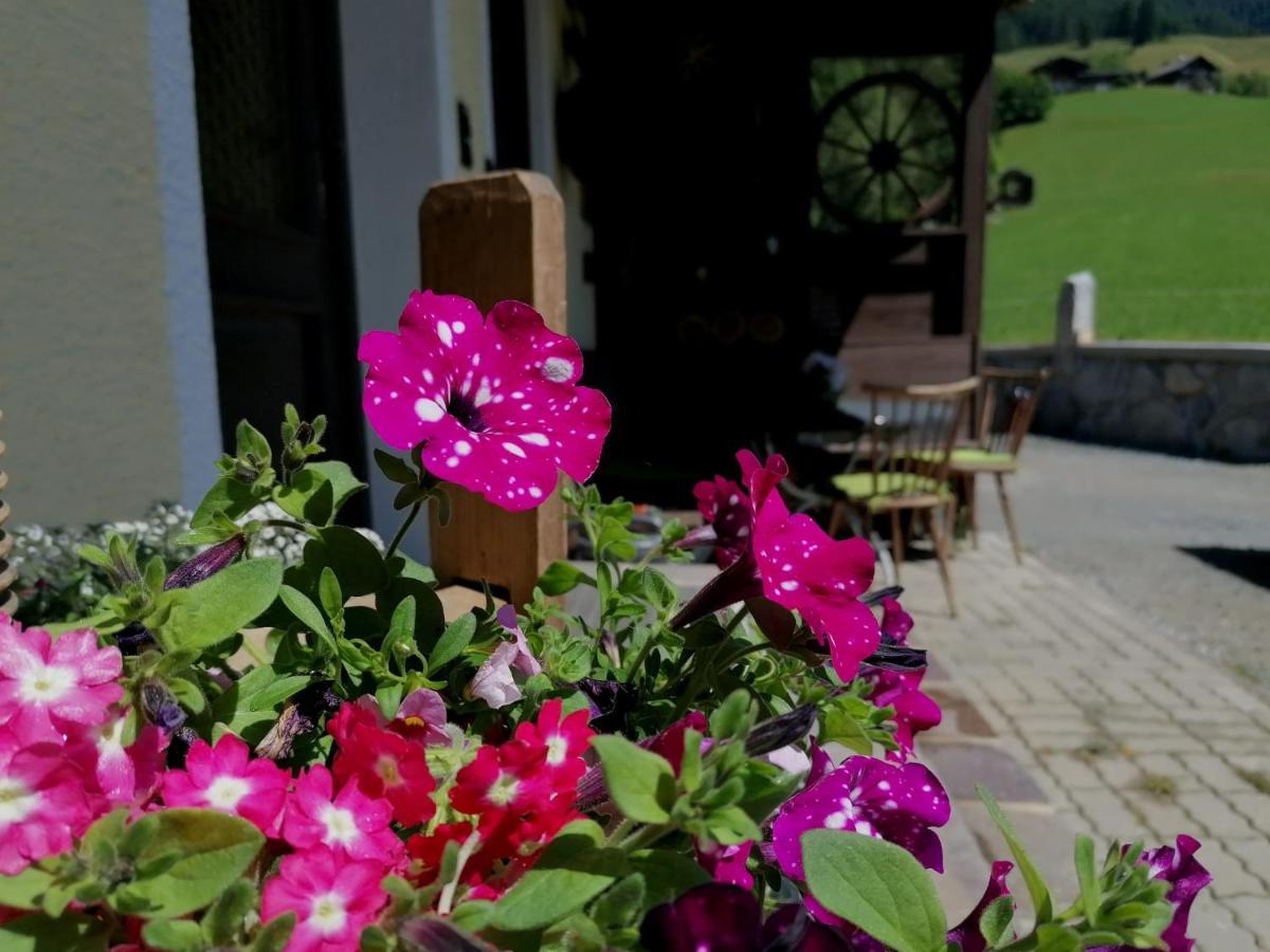 Ferienwohnung Oberkofler Mittersill Buitenkant foto